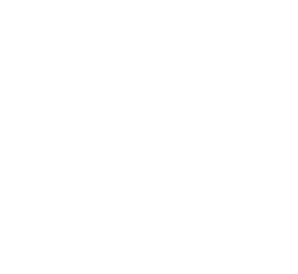 Vanta Diagnostics Logo Icon